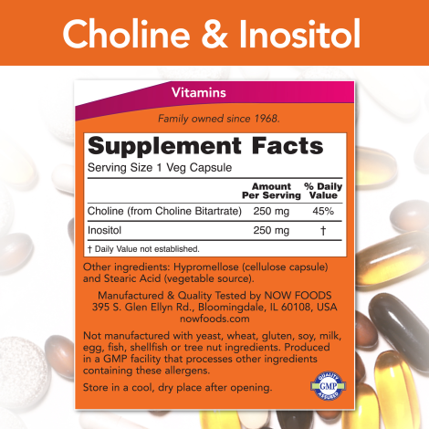 Choline &amp; Inositol 500 mg (100 VegCaps)/ Choline &amp; Inositol 500 mg